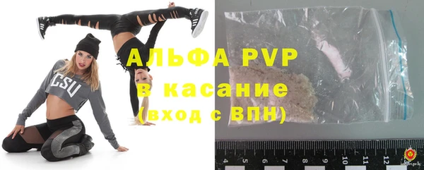 ГАЛЛЮЦИНОГЕННЫЕ ГРИБЫ Магас