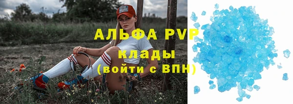 ГАЛЛЮЦИНОГЕННЫЕ ГРИБЫ Магас