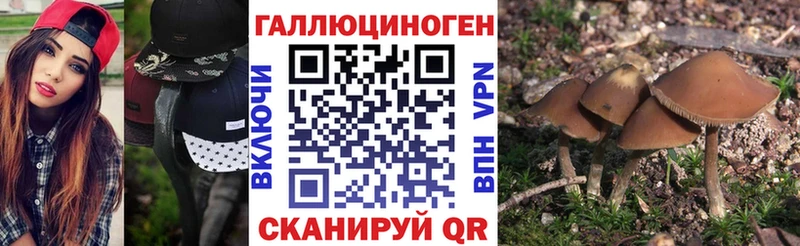 закладка  Магнитогорск  Галлюциногенные грибы мицелий 